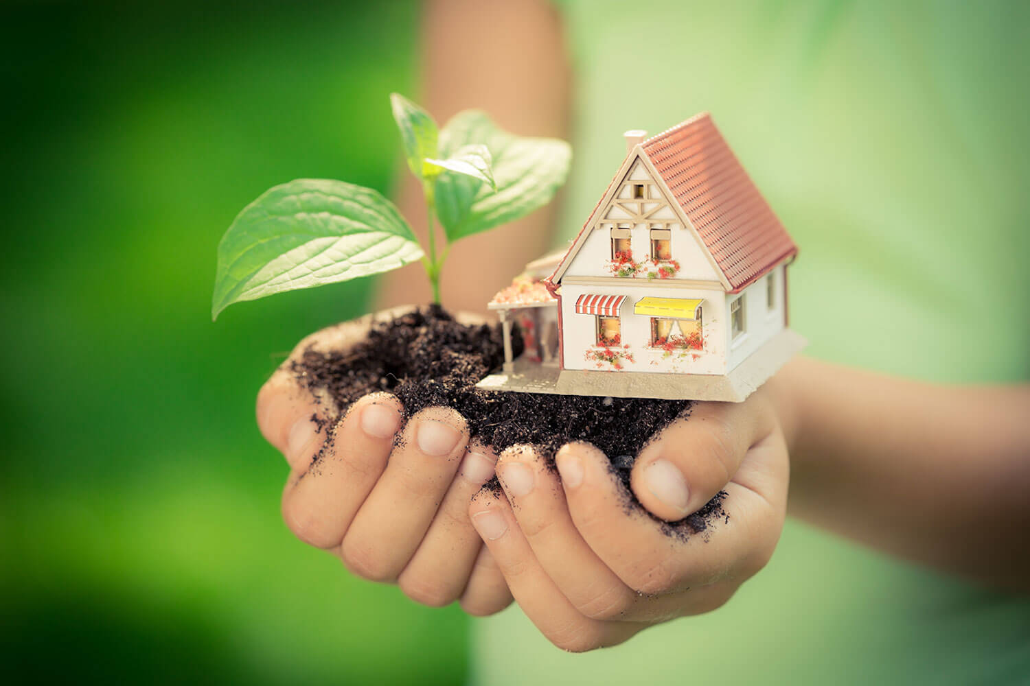 Sustainable Living at Home: Eco-Friendly Changes That Make a Difference