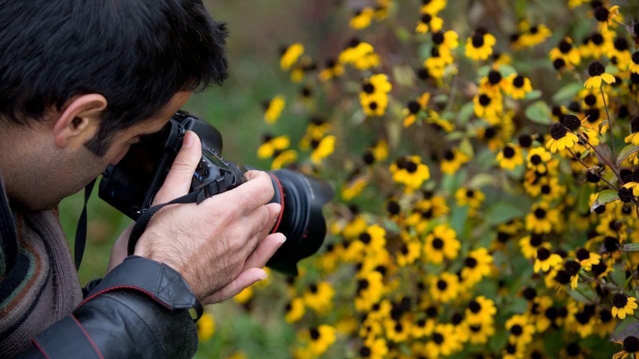 Beginner Photography Tips for Stunning Photos