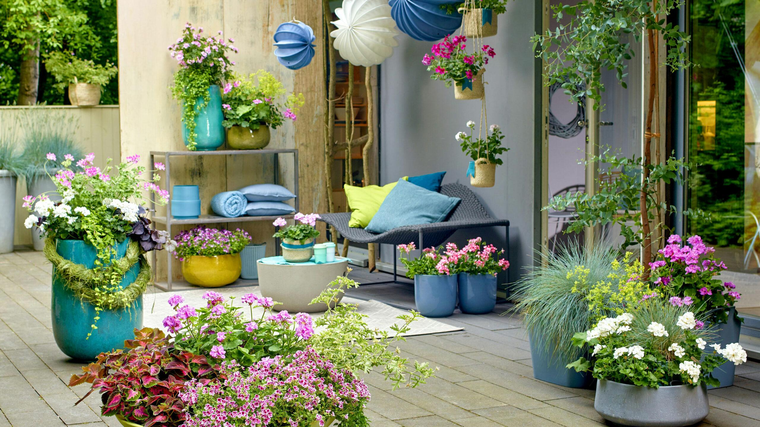 Easy Home Improvement Ideas on a Budget