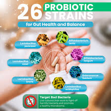 Enhancing Digestive Health With Probiotics and Prebiotics