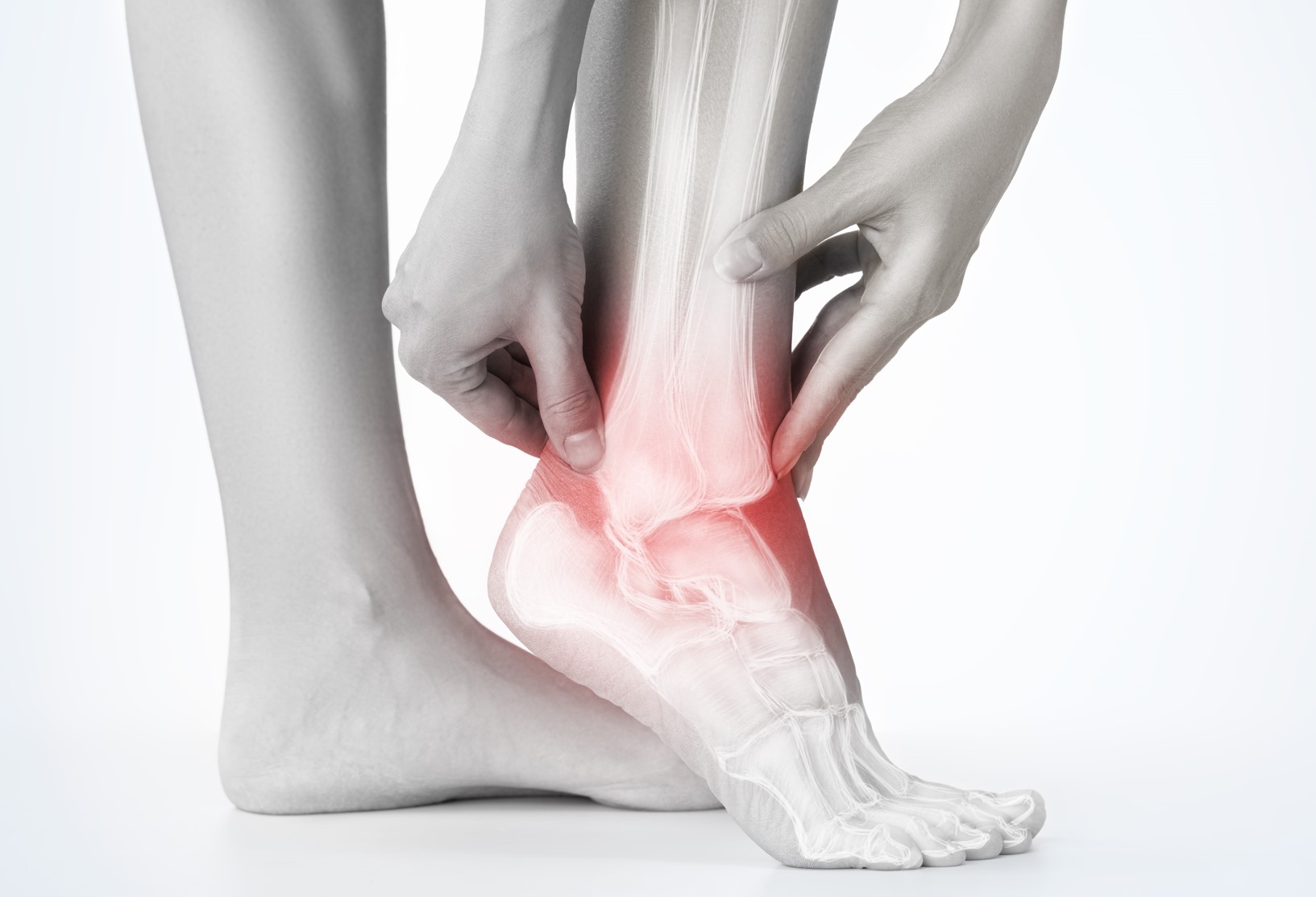 The Comprehensive Services Offered by Foot and Ankle Specialists