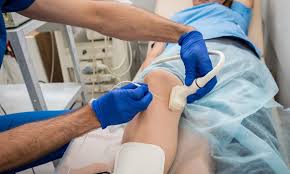 Why It's Key to Consult a Vascular Specialist for Vascular Health